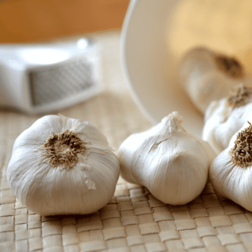 What Herbs Go with Mushrooms? (14 Best Herbs) - Happy Muncher