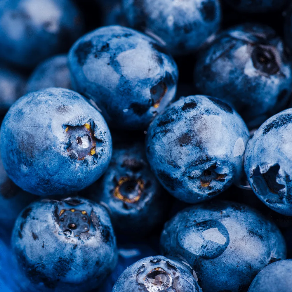 What to Do with Overripe Blueberries