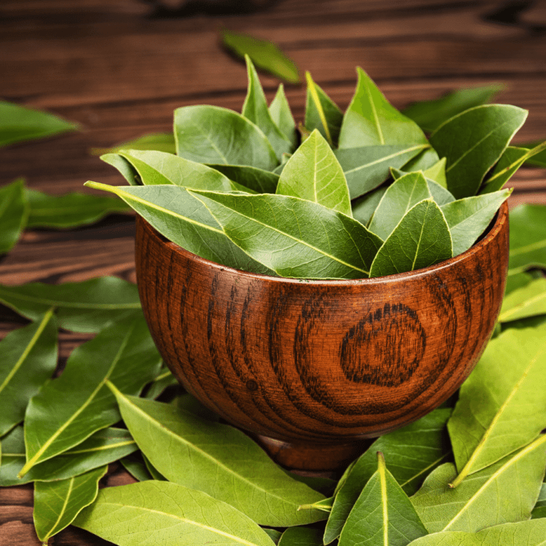 13 Seasonings & Spices that Go Well in Fettuccine Alfredo Happy Muncher