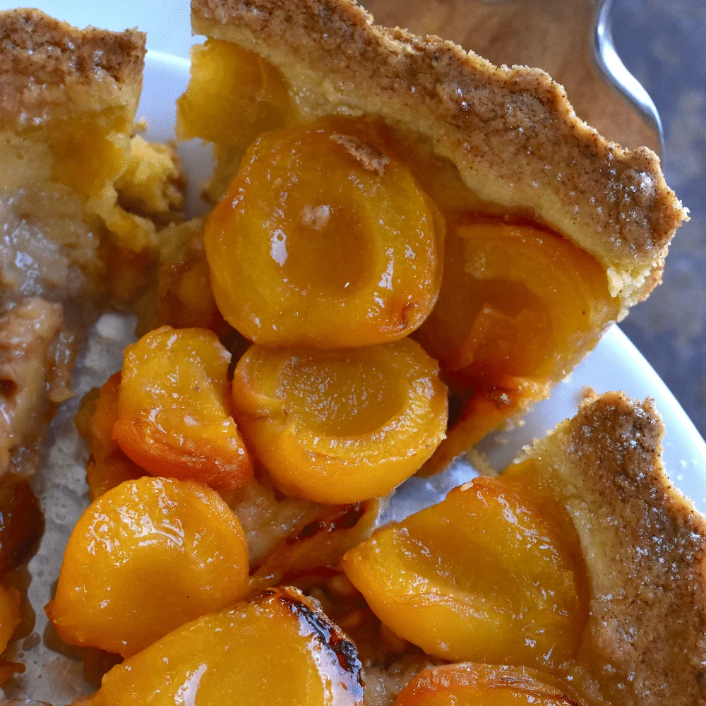 Easy Vegan Apricot Cake Recipe