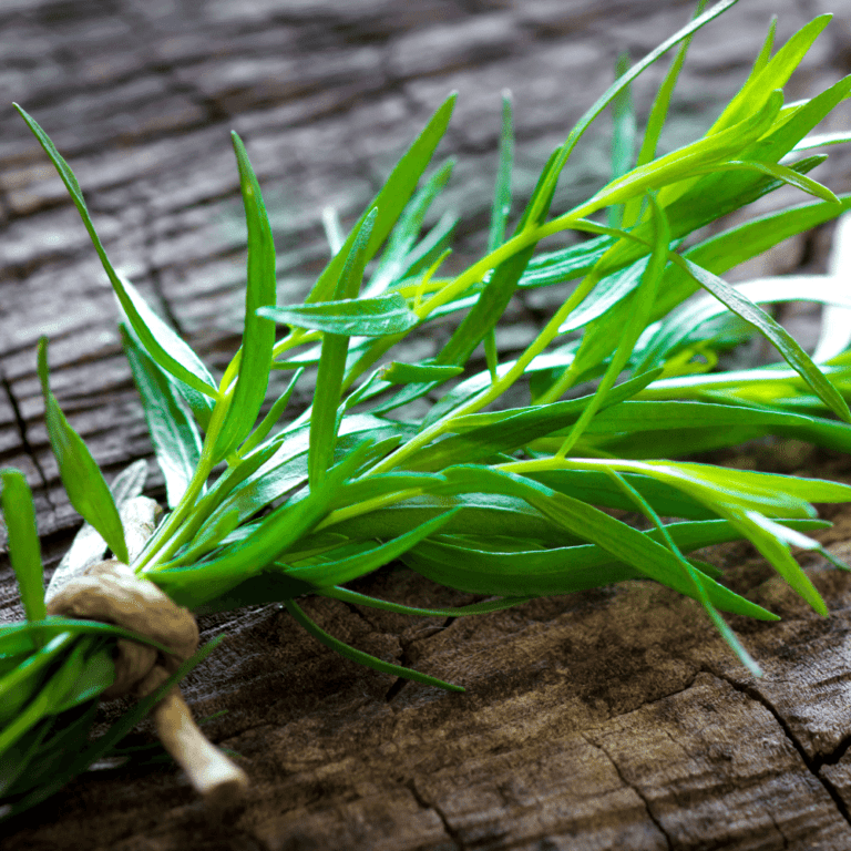 What Herbs Go with Beef Stew? 10 Best Herbs Happy Muncher