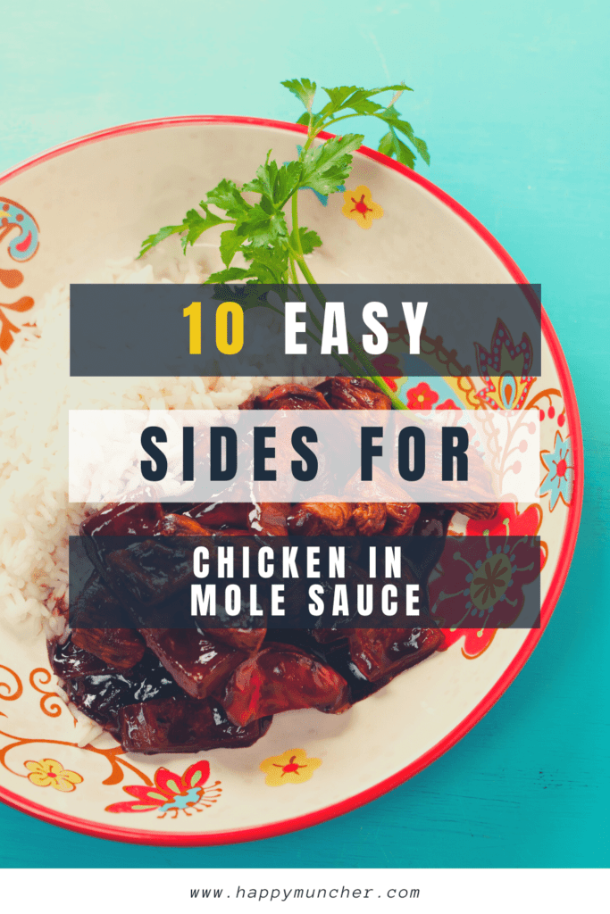 What to Serve with Chicken in Mole Sauce