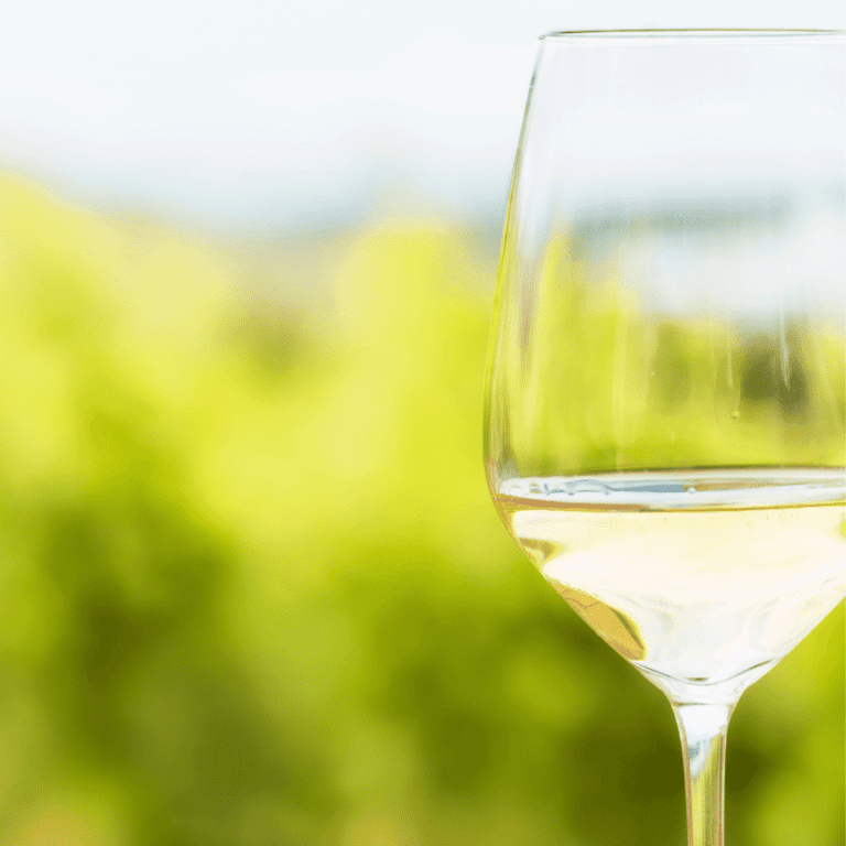 6 Best White Wines for Shrimp Scampi Happy Muncher