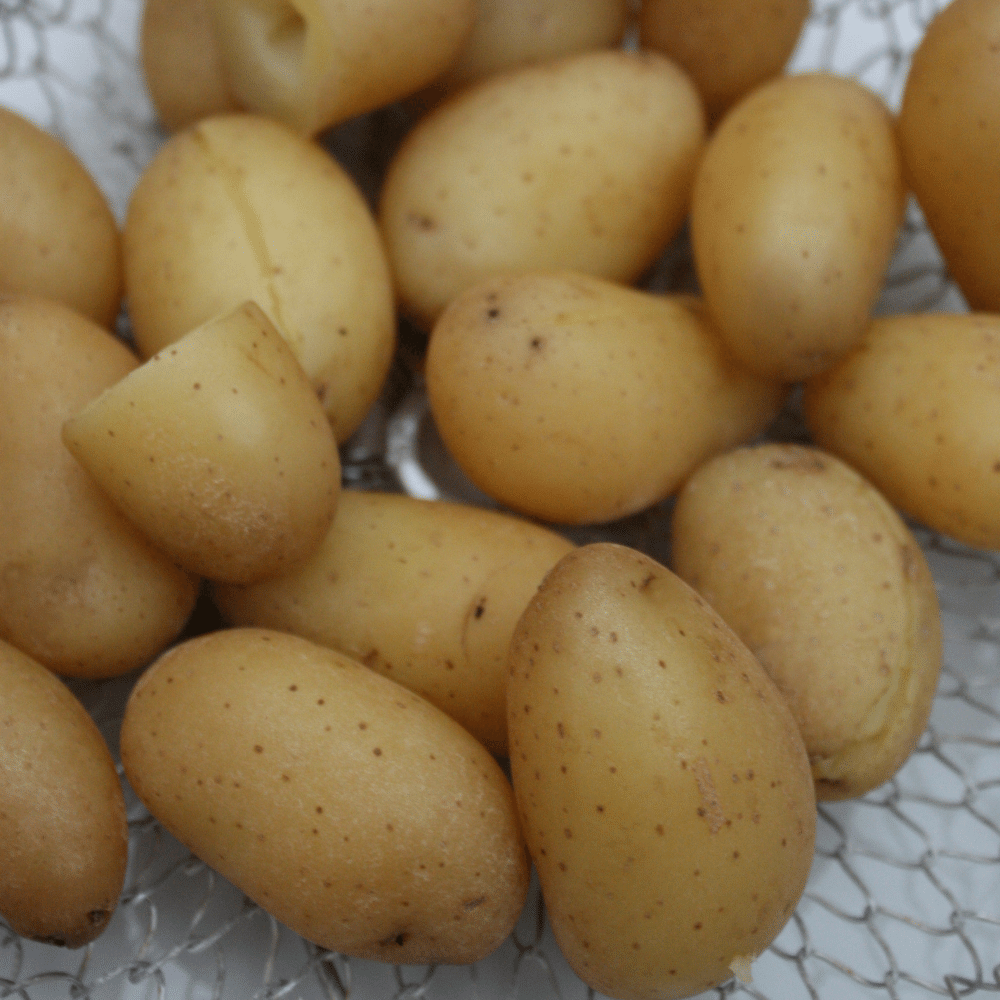 Steamed Potatoes