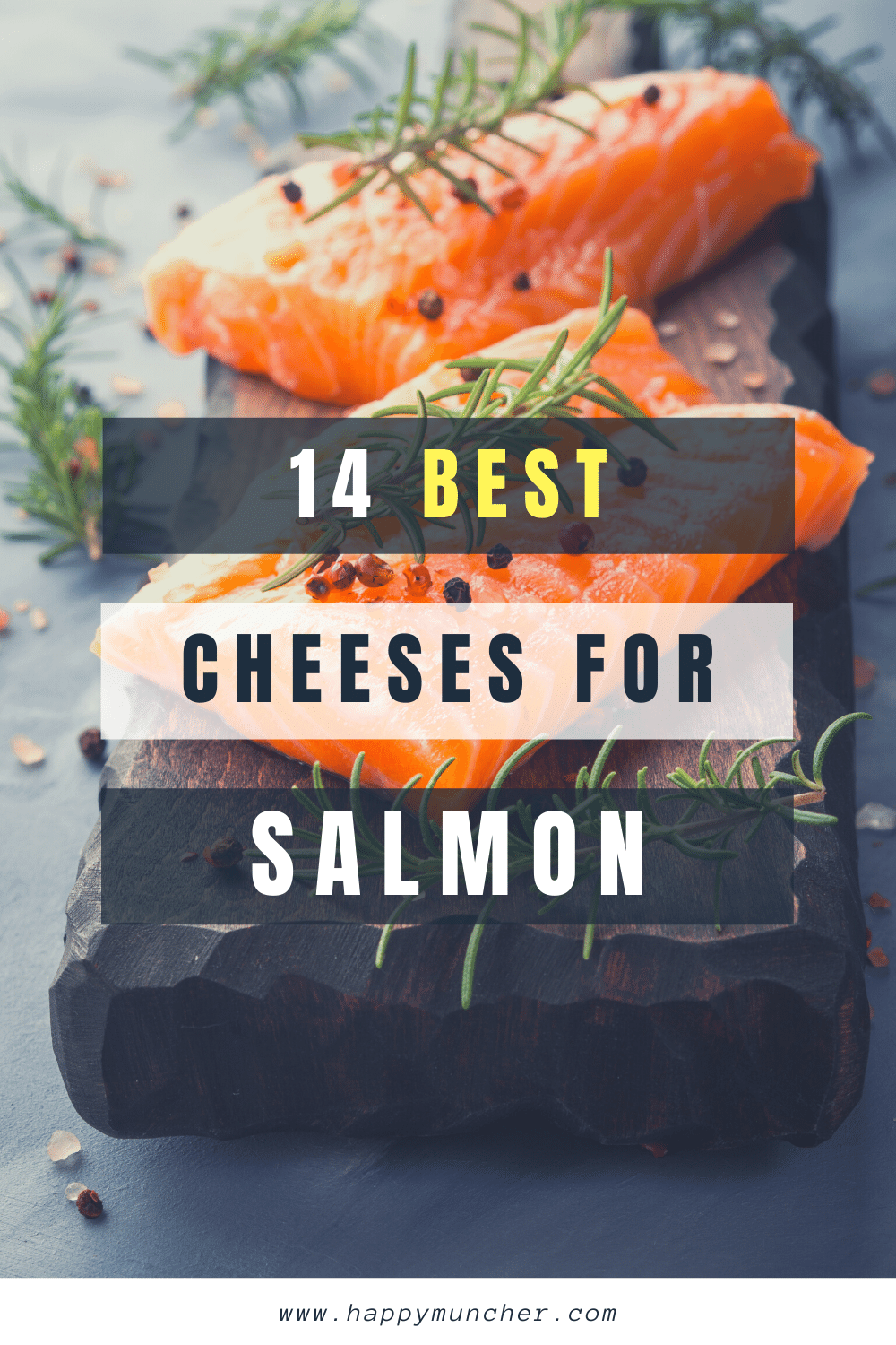 What Cheese Goes Well with Salmon? 14 Best Cheeses Happy Muncher