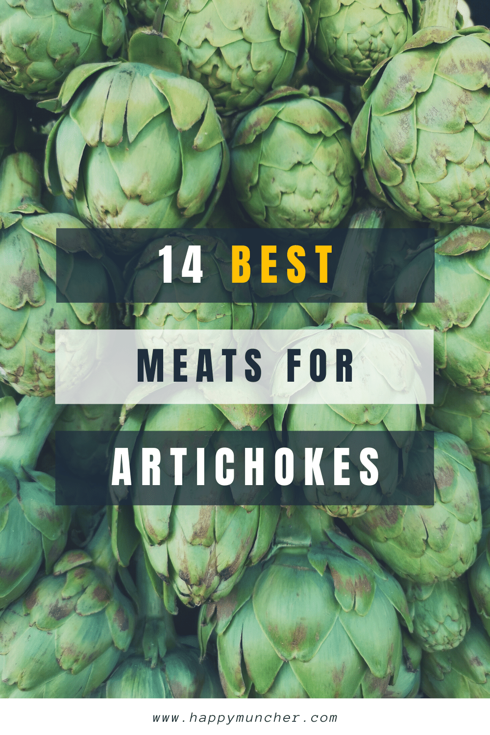 What Meat Goes Well with Artichokes? (14 Meats) Happy Muncher