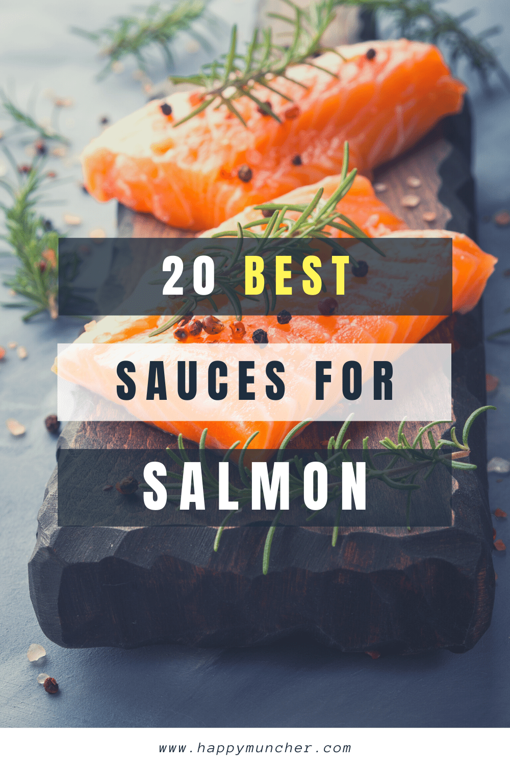 What Sauce Goes with Salmon? 20 Best Sauces Happy Muncher