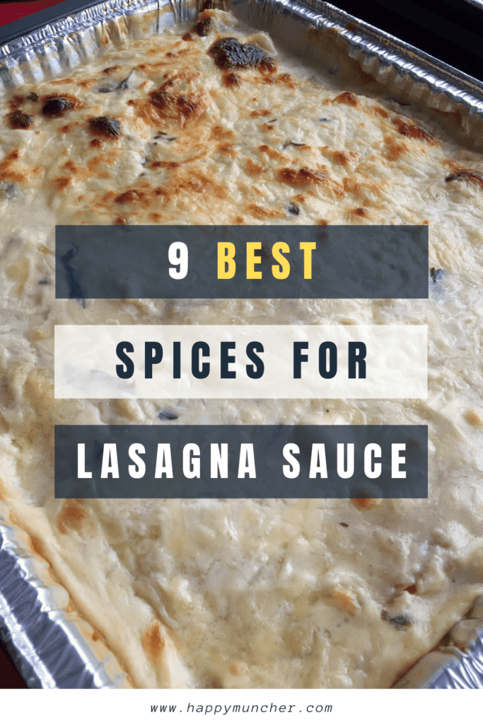 What Spices to Put in Lasagna Sauce