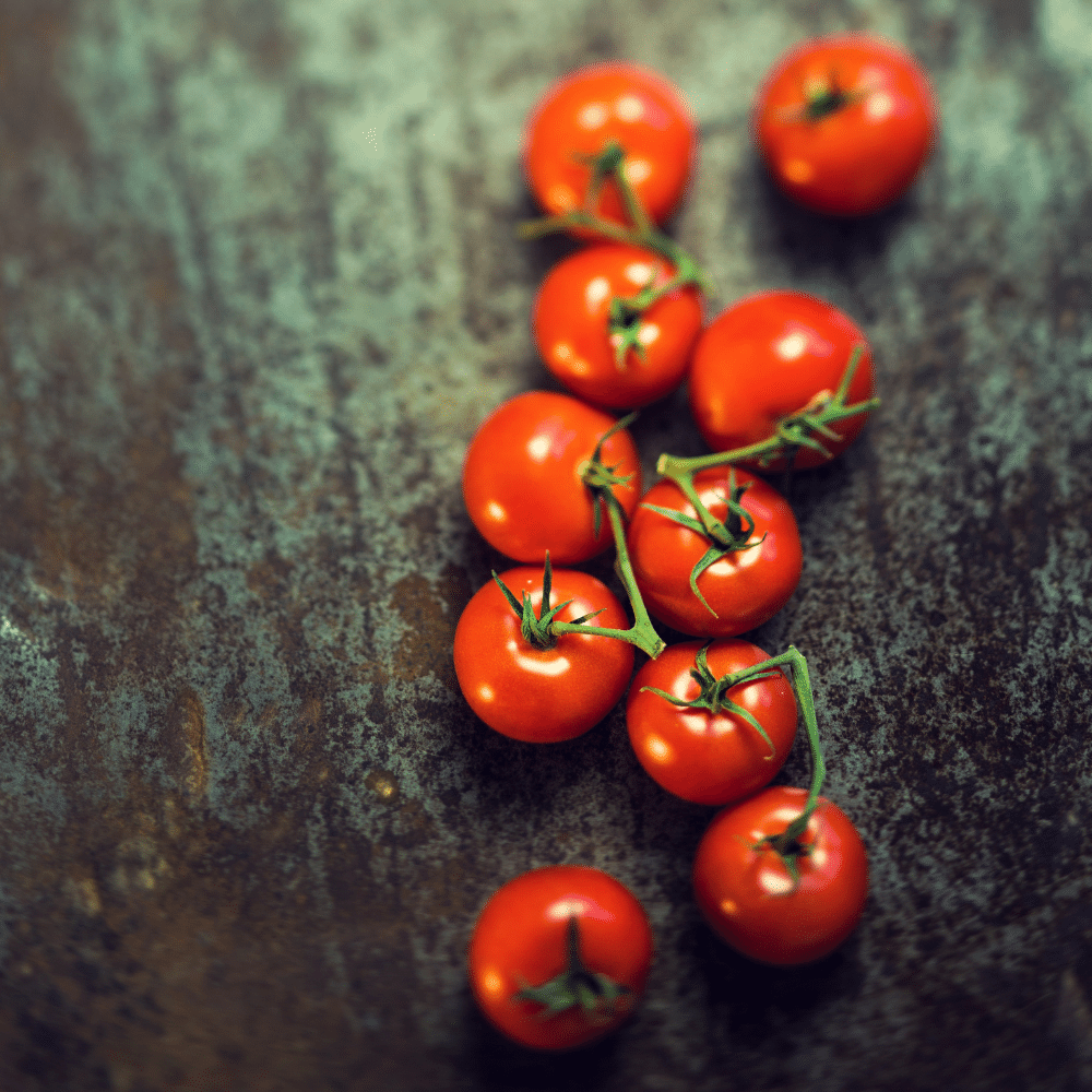 Campari Tomatoes