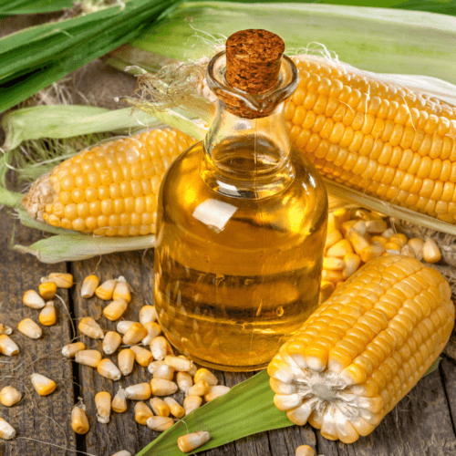 12 Substitutes for Corn Oil in Baking Happy Muncher