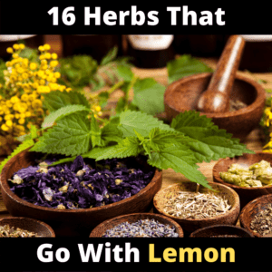herbs that go well with lemon