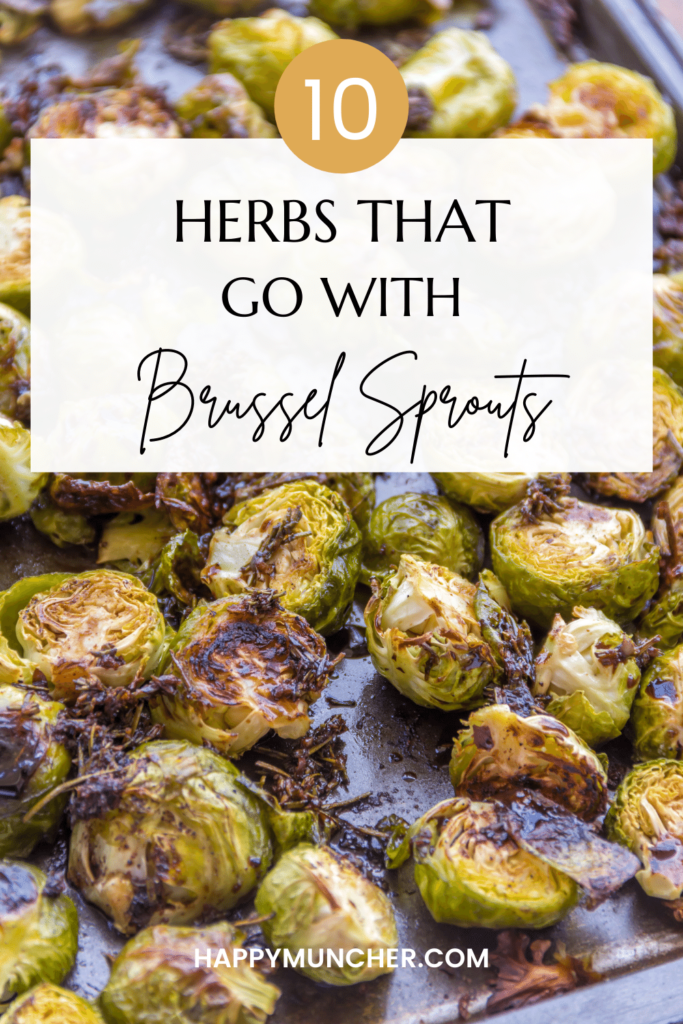 what herbs go with Brussel Sprouts