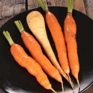 herbs for Carrots and Parsnips