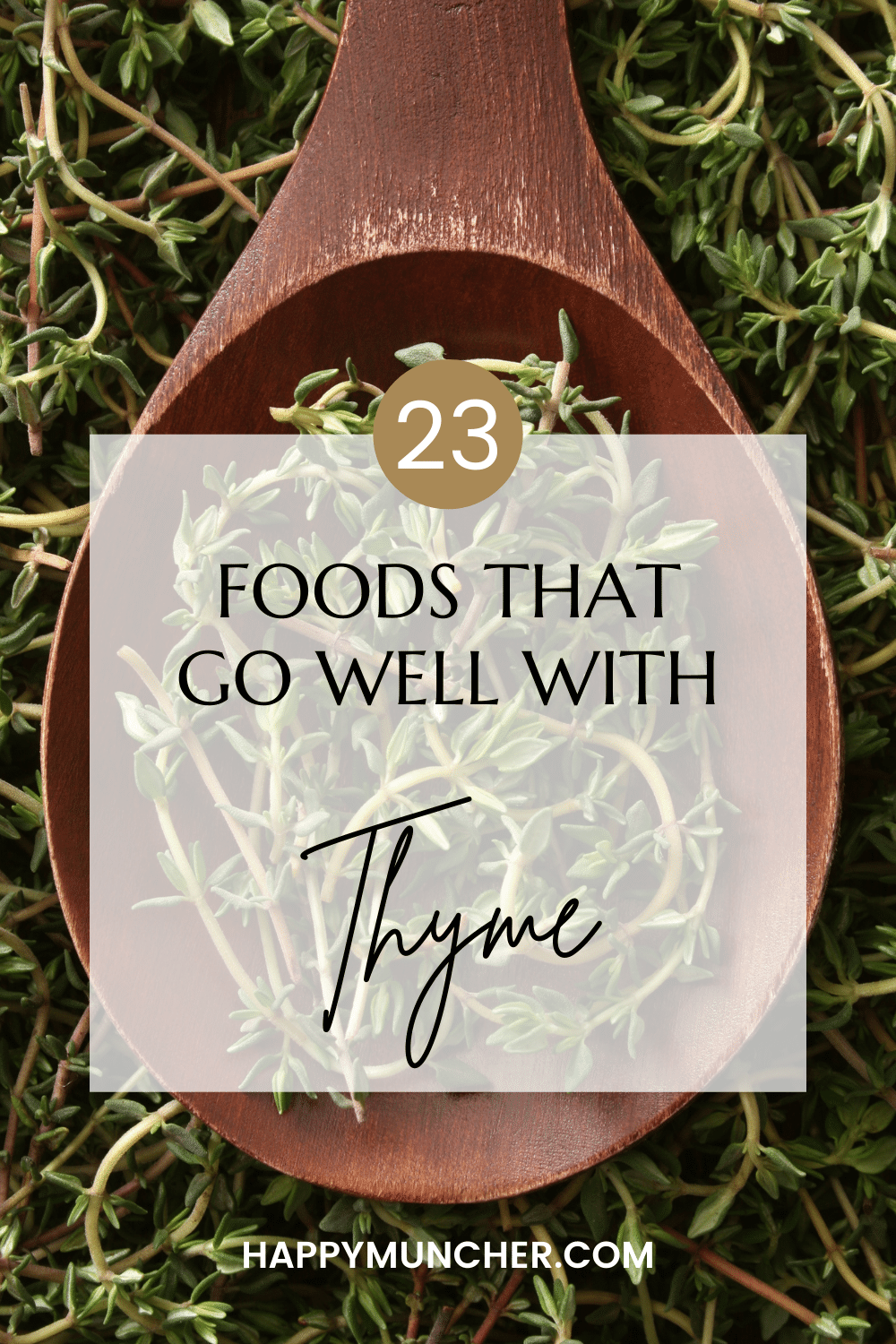 What Foods Go Well with Thyme? (23 Foods) Happy Muncher