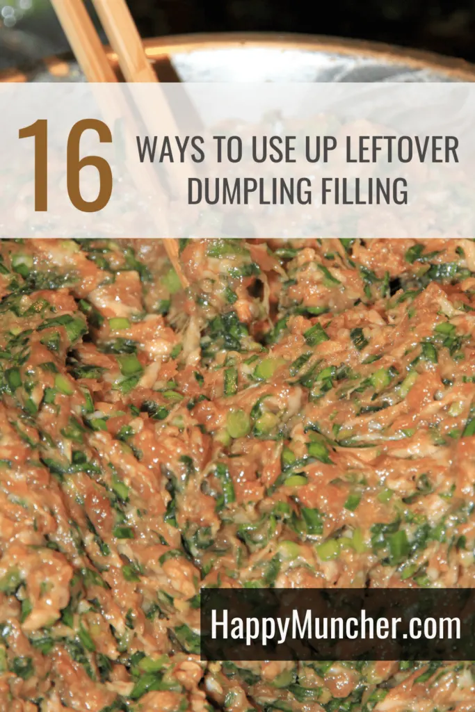 What to Do with Leftover Dumpling Filling