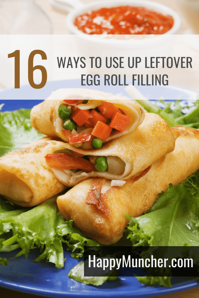 What to Do with Leftover Egg Roll Filling