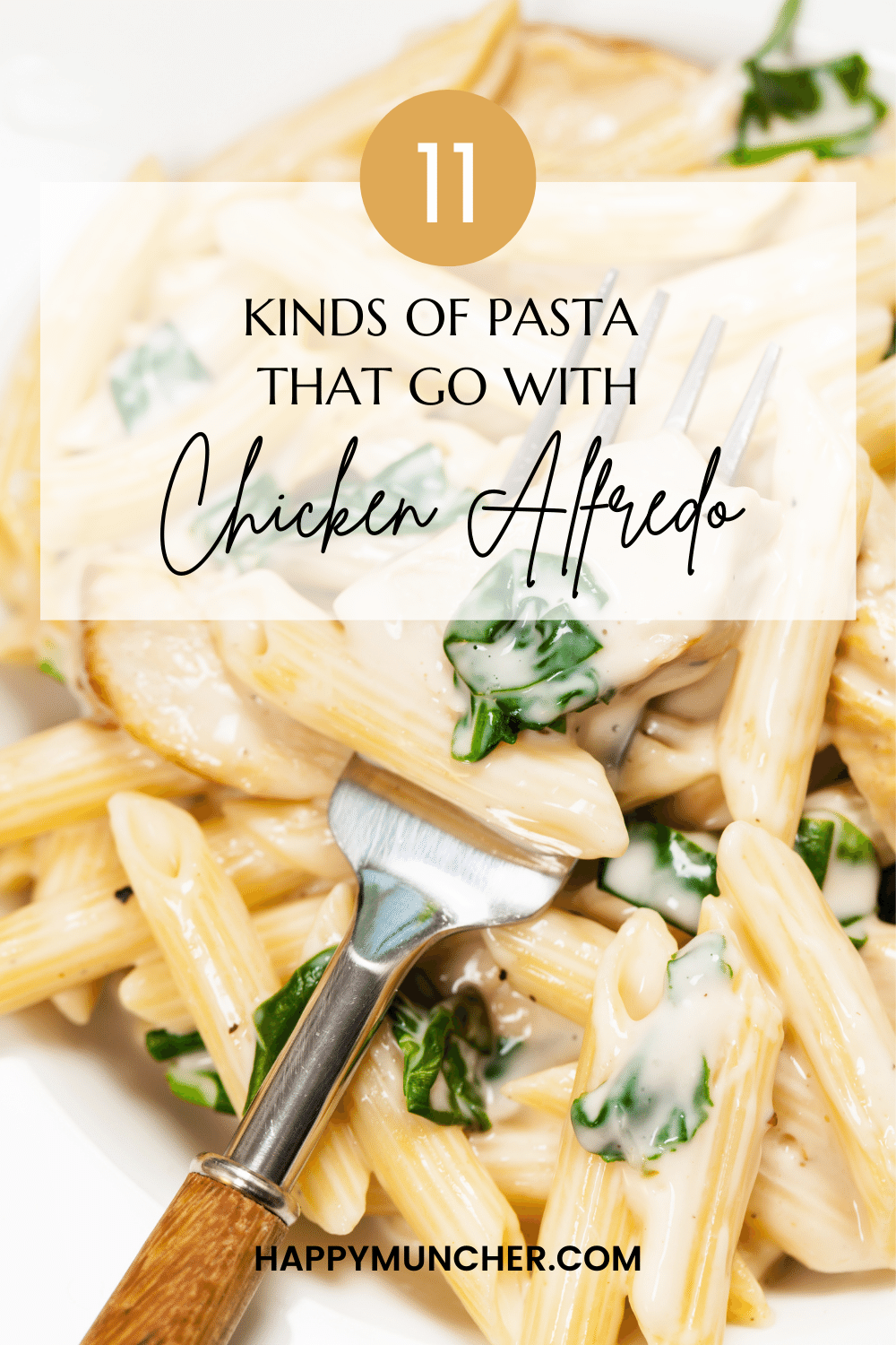 What Pasta Goes with Chicken Alfredo? (11 Kinds of Pasta) Happy Muncher