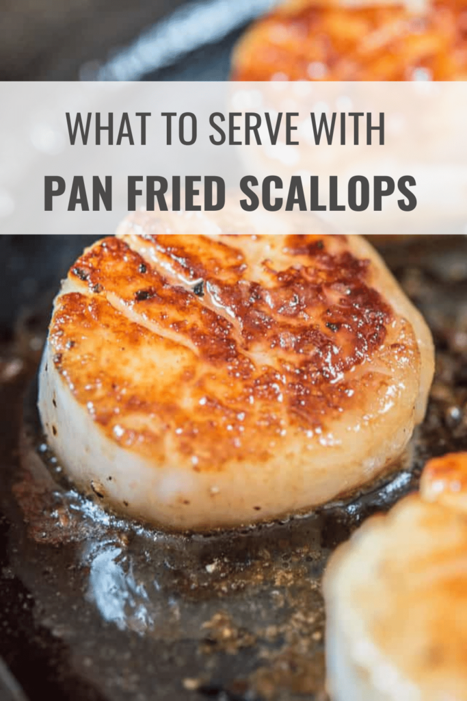 What to Serve with Pan Fried Scallops