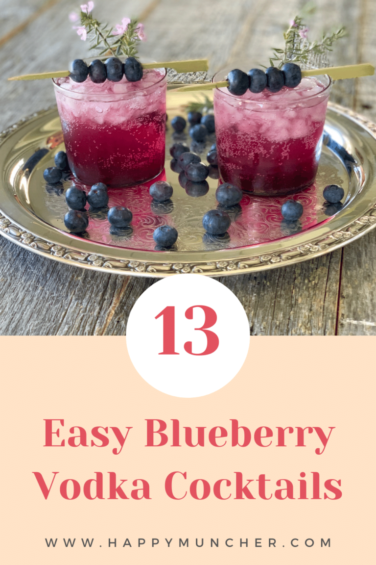 13 Easy Blueberry Vodka Cocktails Happy Muncher