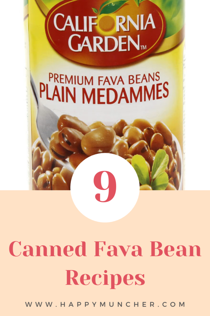 Canned Fava Bean Recipes