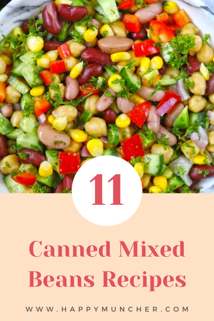 Canned Mixed Beans Recipes