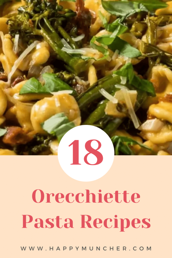 Orecchiette Pasta Recipes