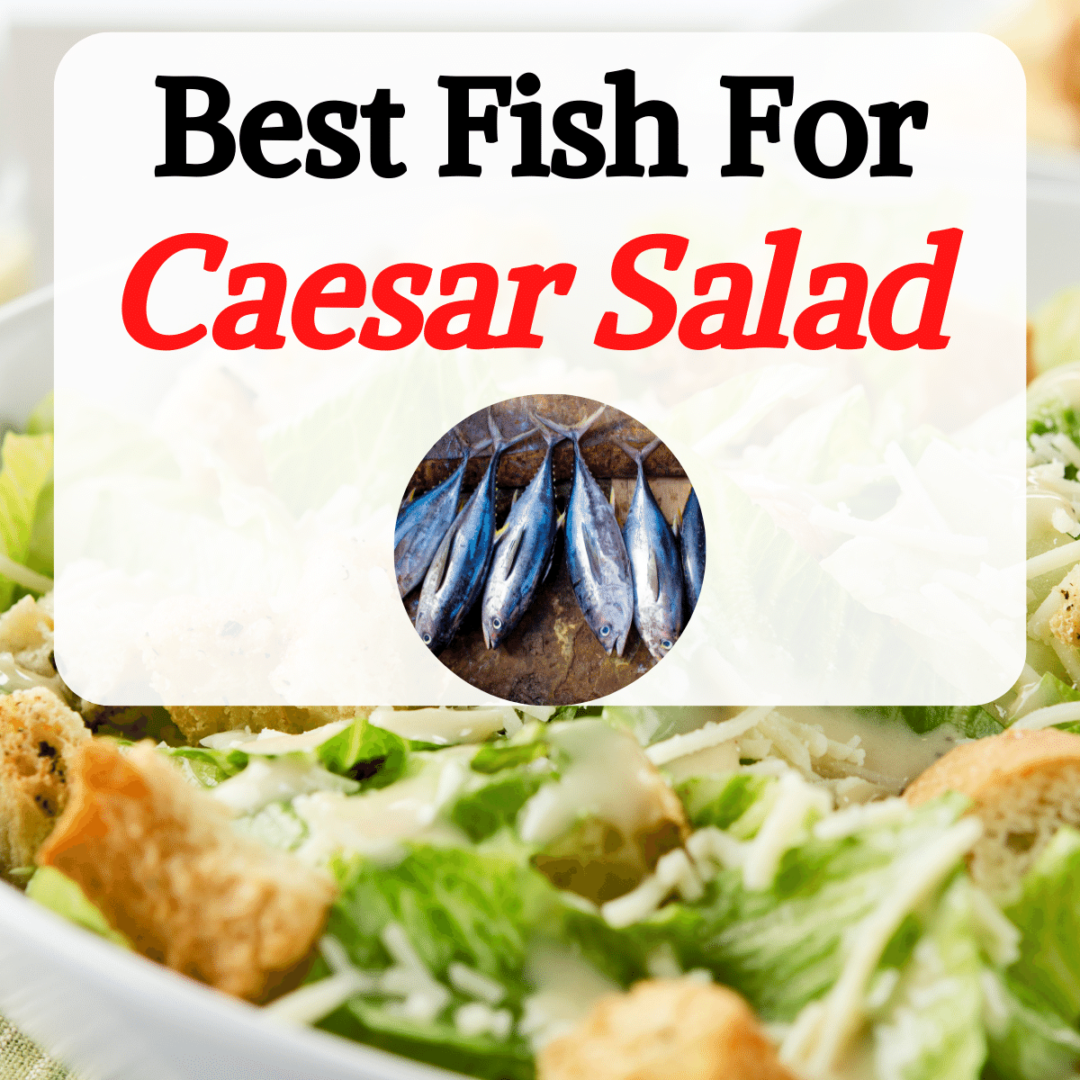 What Fish Goes in Caesar Salad? (10 Kinds of Fish) Happy Muncher