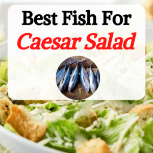 what fish goes well with caesar salad