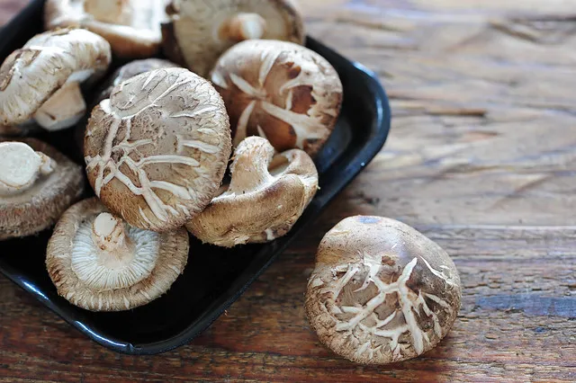 5-Ingredient Healthy Simple Mushroom Soup