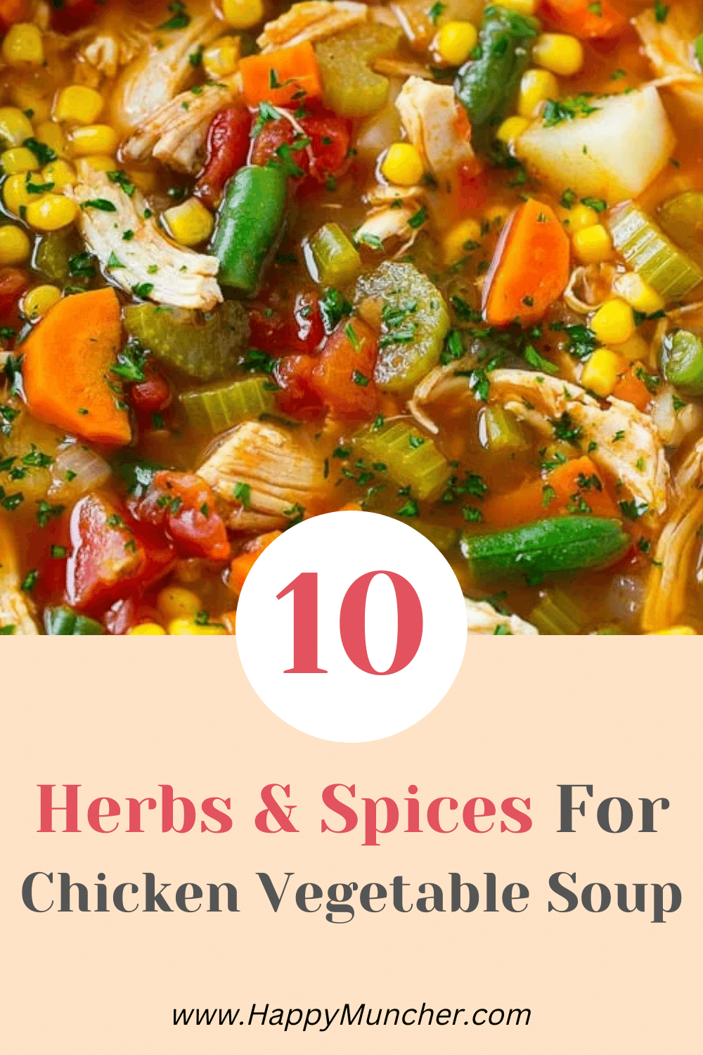 10 Best Herbs and Spices for Chicken Vegetable Soup Happy Muncher