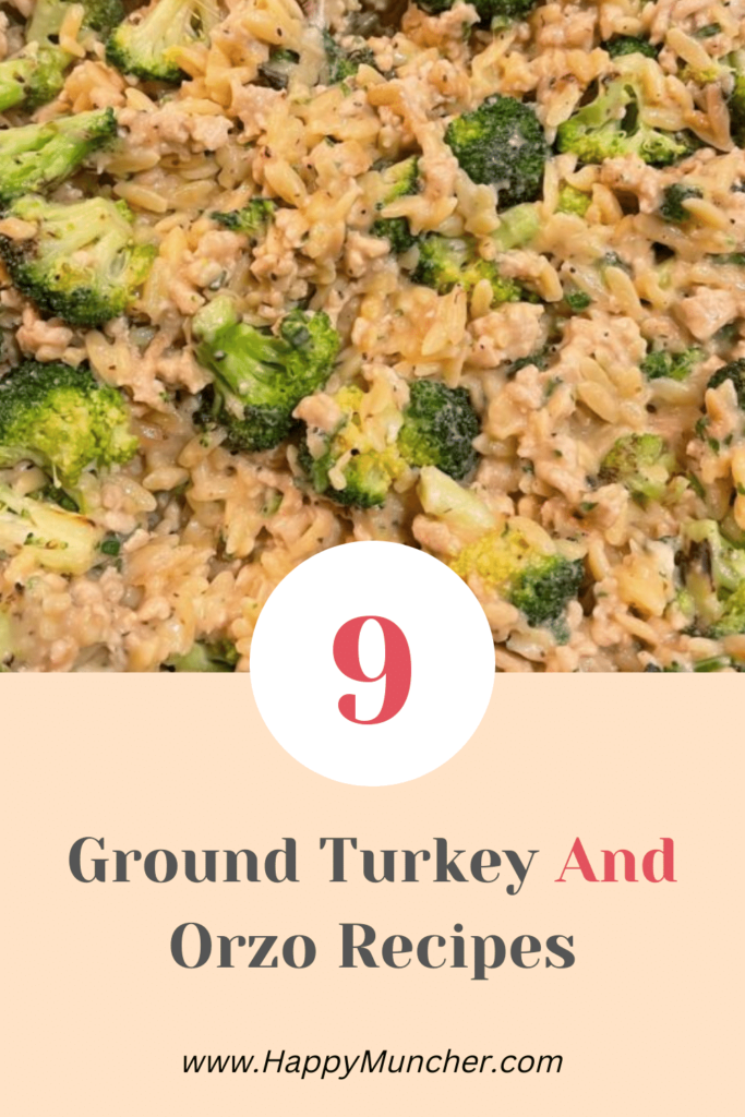 Ground Turkey and Orzo Recipes