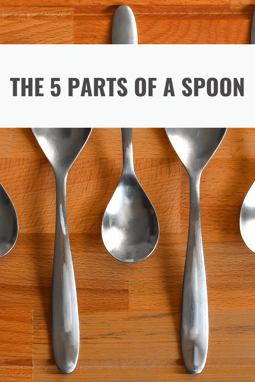 The 5 Parts of a Spoon Their Names and Functions Happy Muncher