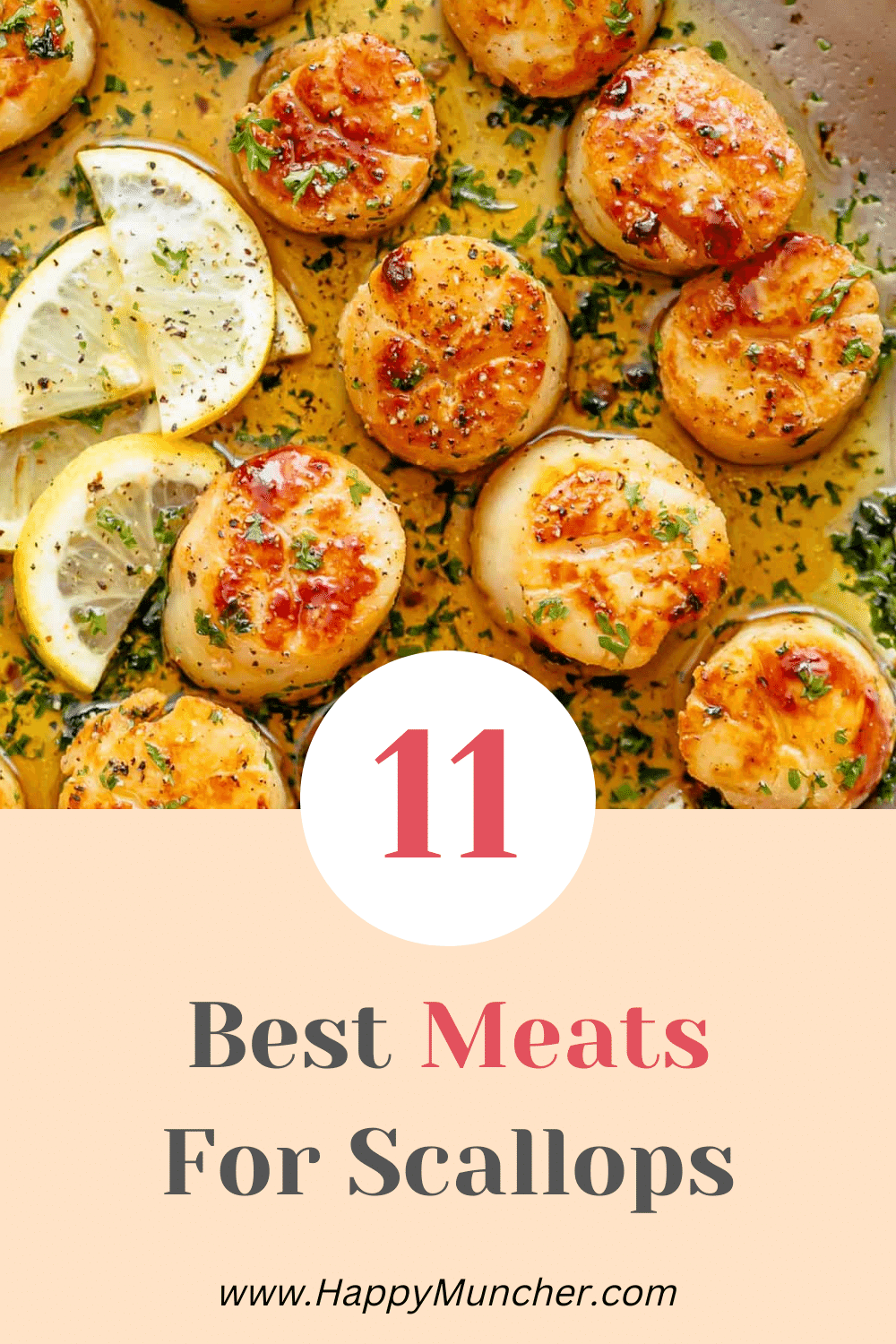 What Meat Goes with Scallops? 11 Best Meats Happy Muncher