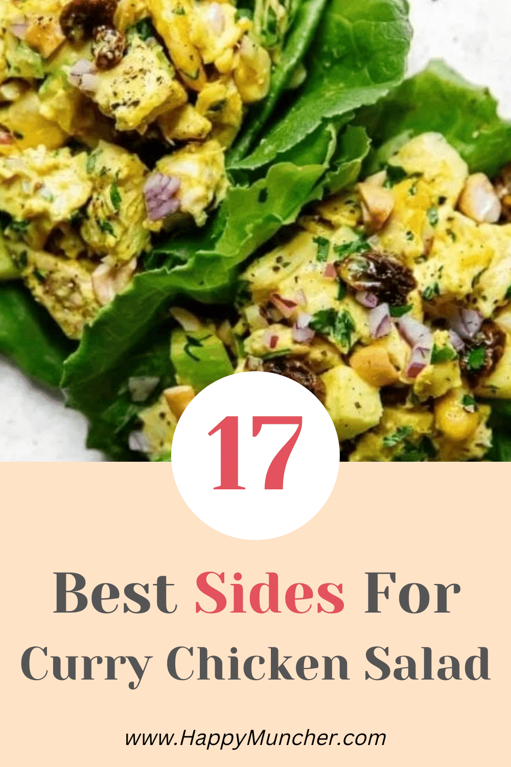 What to Serve with Curry Chicken Salad? 17 Best Side Dishes Happy Muncher