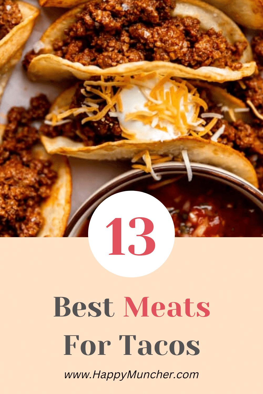 13 Best Kinds of Meat for Tacos Happy Muncher
