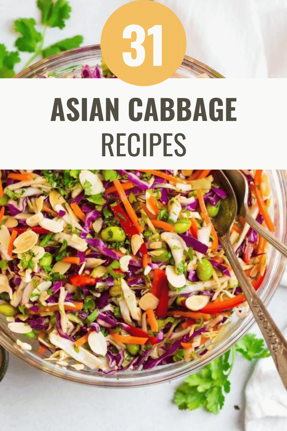 31 Creative Asian Cabbage Recipes to Satisfy Your Cravings Happy Muncher