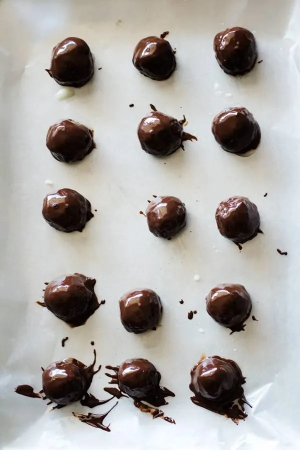 Dark Chocolate Coconut Bites