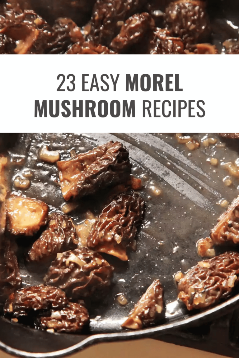 23 Morel Mushroom Recipes I Can’t Resist Happy Muncher