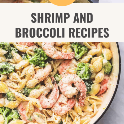 Shrimp and Broccoli Alfredo