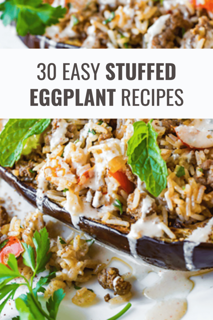30 Easy Stuffed Eggplant Recipes I Can't Resist