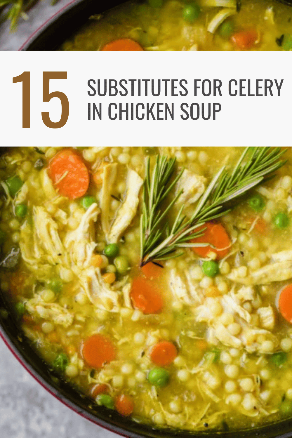 15 Best Substitutes for Celery in Chicken Soup Happy Muncher