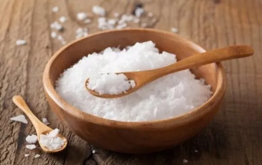 The 8 Best Substitutes For Sea Salt Flakes