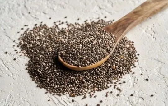 The 5 Best Substitutes for Chia Seeds