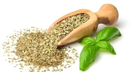 The 8 Best Substitutes for Dried Basil Leaves