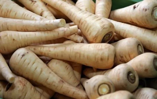 The 10 Best Substitutes for Parsnips