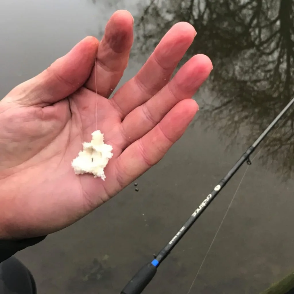 fishing with bread