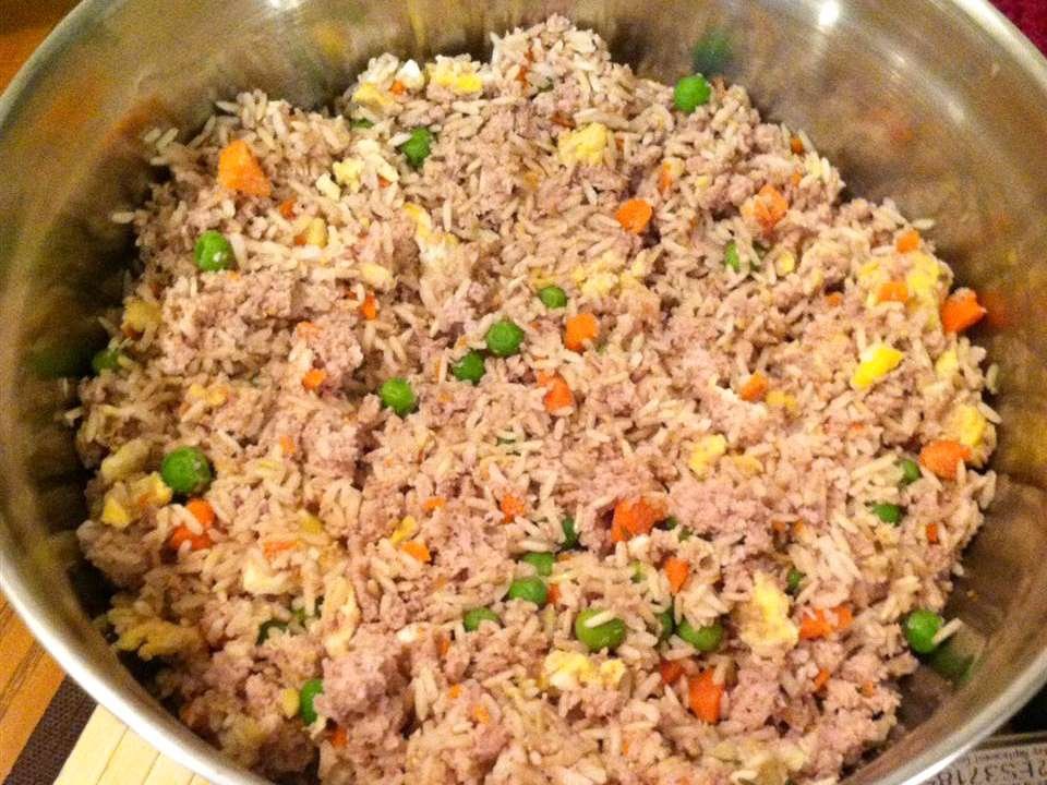 Homemade Dog Food with rice