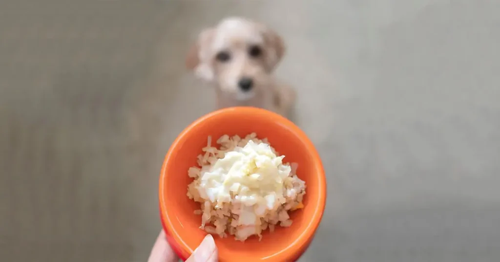 Rice for Dogs
