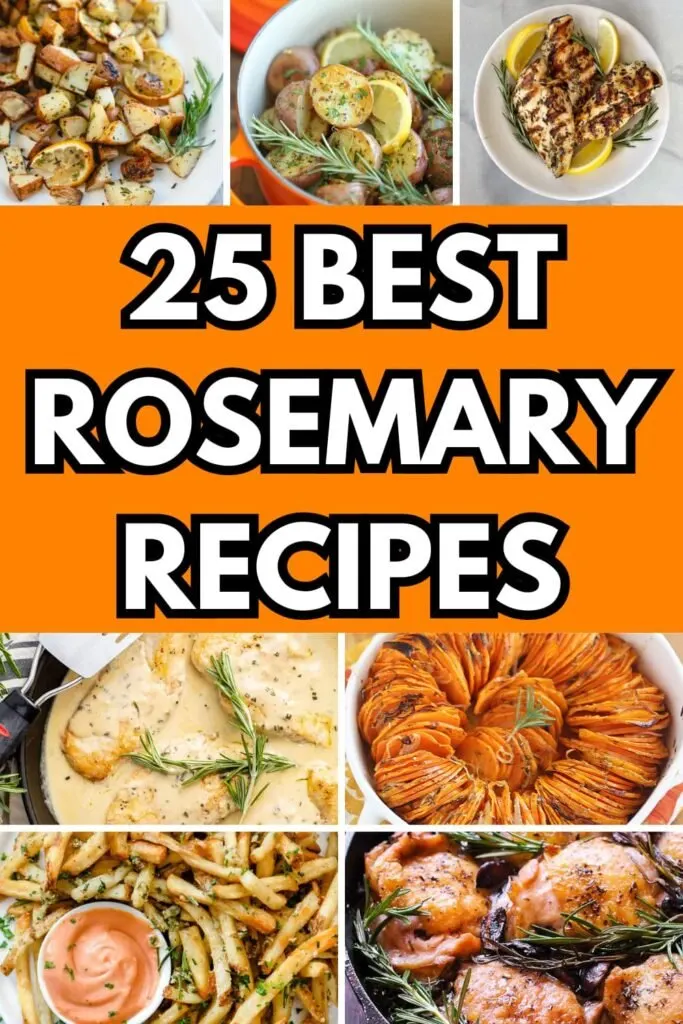 25 Aromatic Rosemary Recipes for Every Occasion