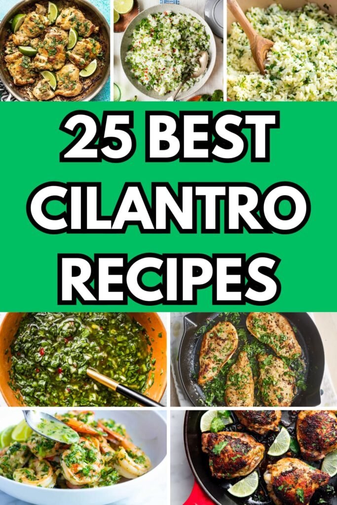 25 Best Cilantro Recipes to Brighten Your Meals